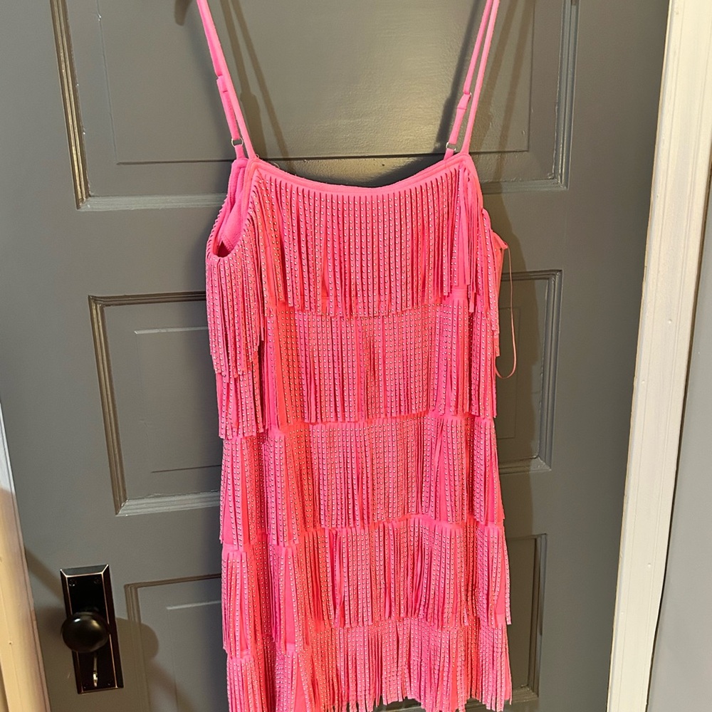 Vibrant Pink Fringe Flapper Dress